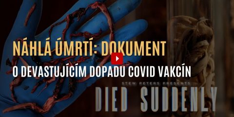 Sudden death 1536x804 1