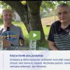 Tomanek Modry jelen