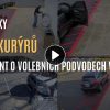dokument